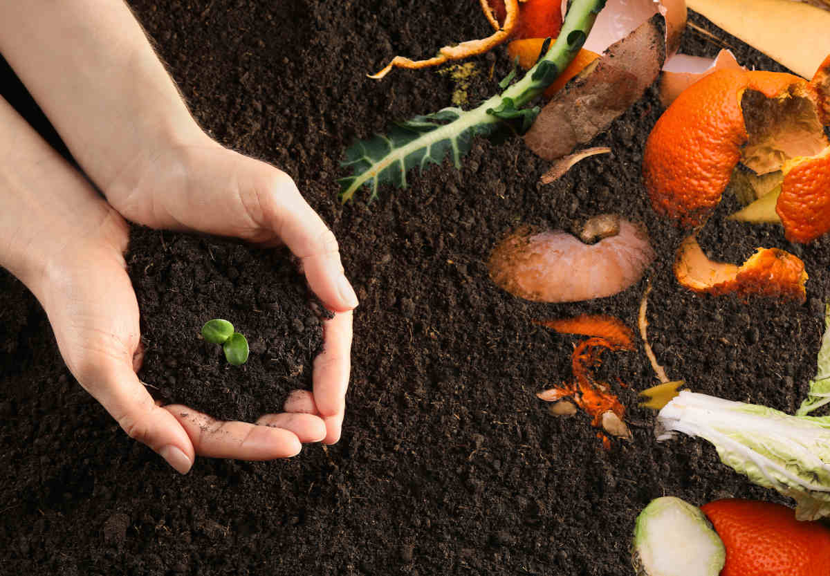 Environnement : comment faire son propre compost ? - Le Parisien