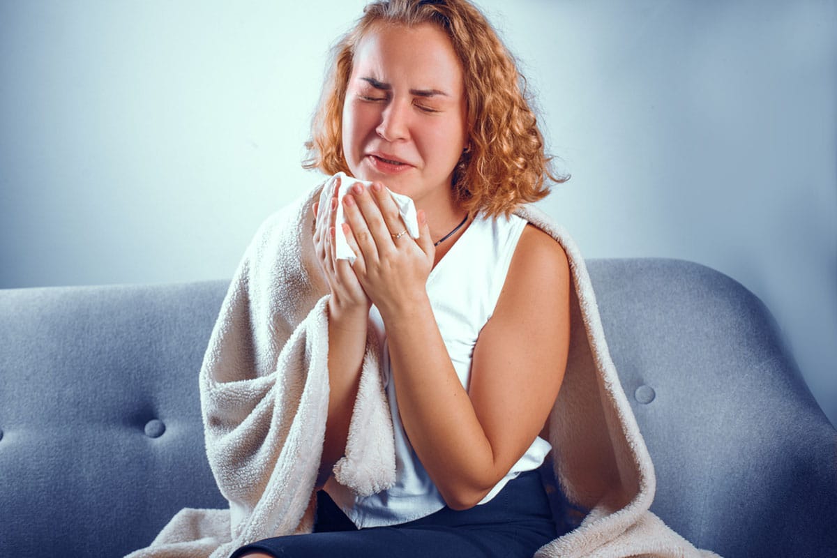 Allergie au chat : symptômes, traitement et précaution à prendre