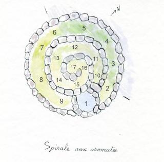 spirale plan plantes aromatiques
