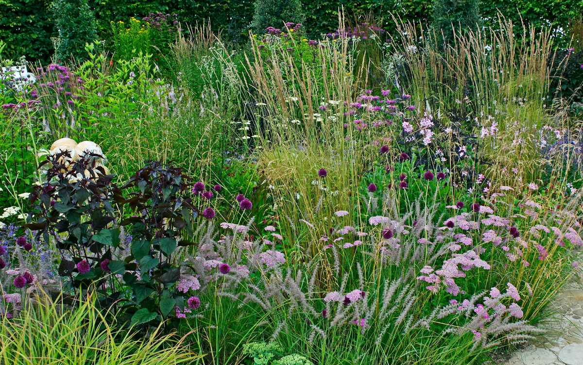 association graminée plante au jardin