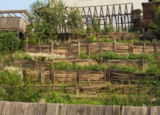 potager en montagne conseils