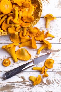 Girolle en cuisine