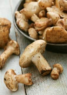 comment cuisiner champignon pied de mouton