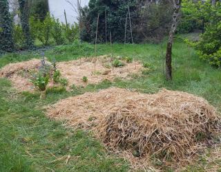 inconvenient culture sur butte permaculture