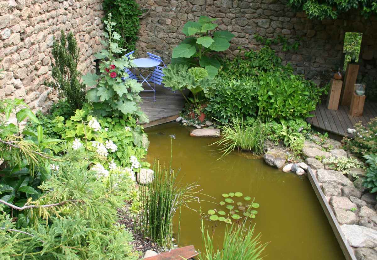 L'entretien du bassin de jardin