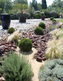 plantes de garrigue pour jardin sec