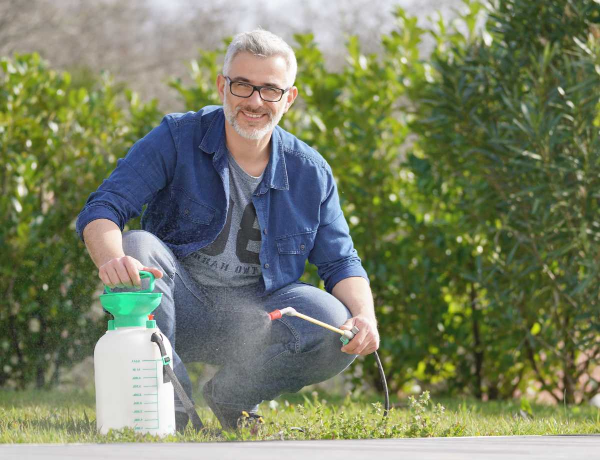 Le pulvérisateur, indispensable au jardin et au potager