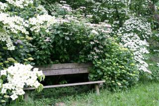 banc jardin zen detente meditation