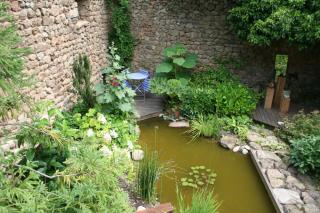 bassin jardin zen detente eau