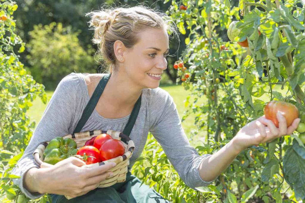 faire un potager bio