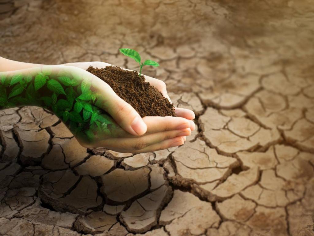 Terre argileuse travail du sol et conseils de plantations