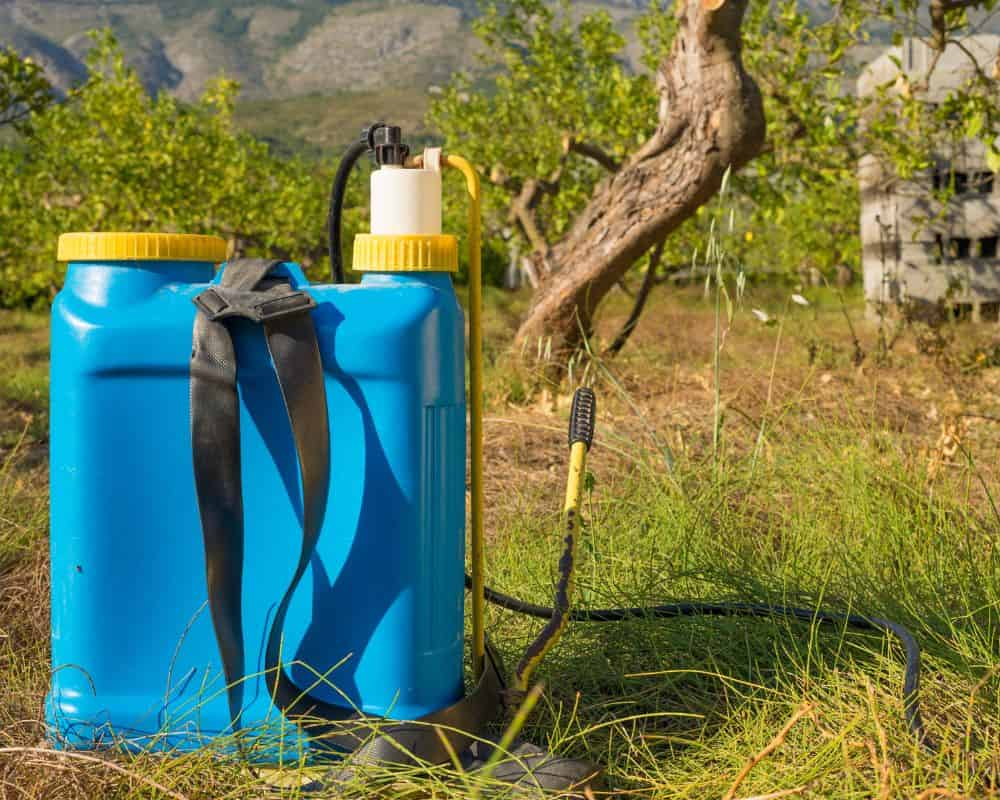 Pulvérisateur de jardin : choisir le bon modèle