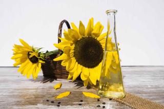 Le tournesol, remède naturel des coups de soleil