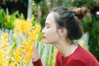 Orchidées parfumées