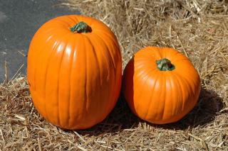 Citrouille Jack'o'lantern