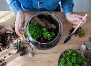 faire un terrarium technique tuto