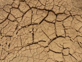 sol-indicateur-dune-mauvaise-retention-en-eau