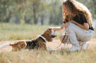 chien trouvé que faire ?