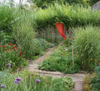 delimiter espace plantes dans un petit jardin