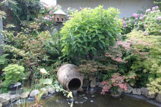 massif petit jardin graminée bambou