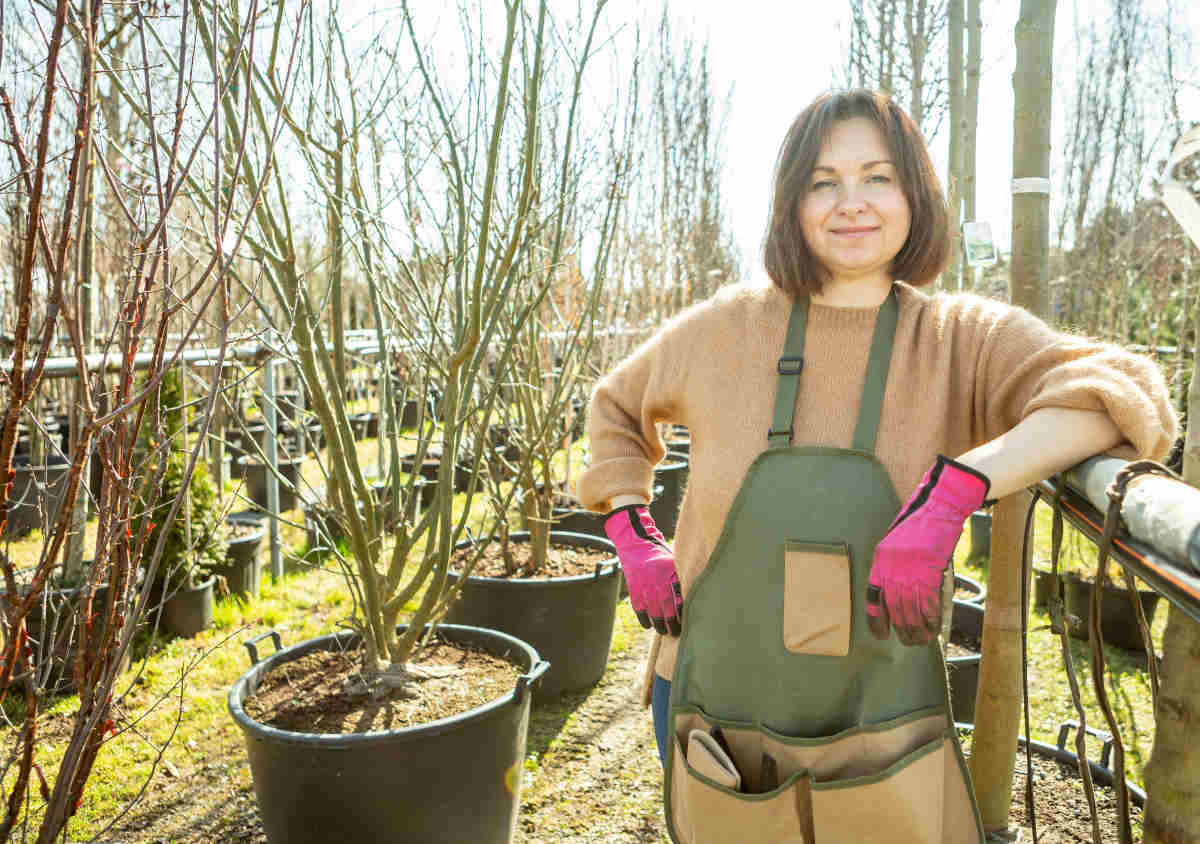 plantation fruitier potager