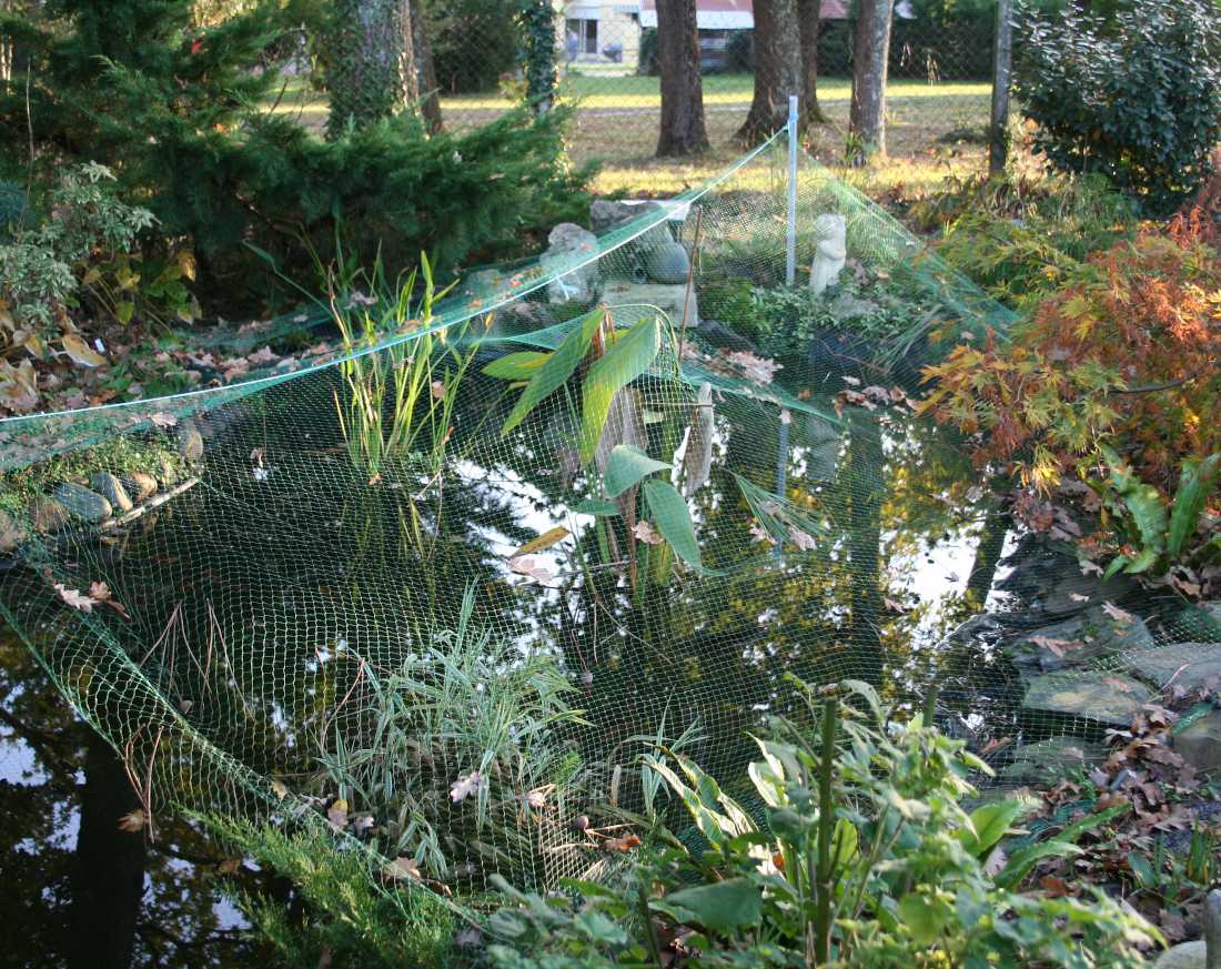 Filet De Protection Pour Bassin & Jardin - Maille Fine 1.5cm, Anti-Oiseaux & Chats, Polyéthylène Vert