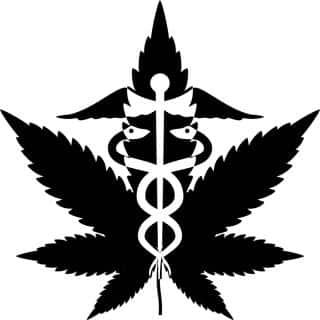 Cannabis médical