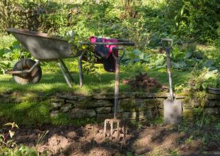 plantes pour sol argileux