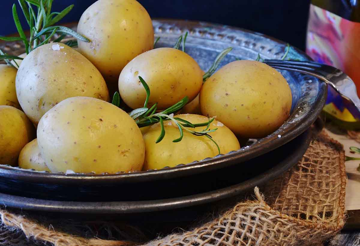 Les meilleures pommes de terre à cuire à la vapeur