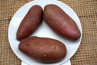 Pommes de terre FRANCELINE