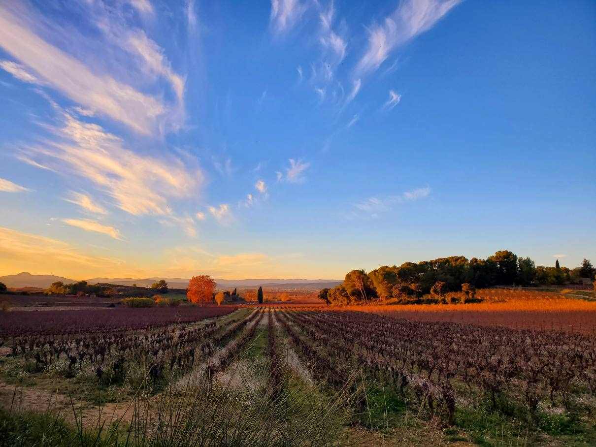 WWOOFing-france