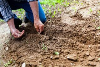 WWOOFing logement ferme