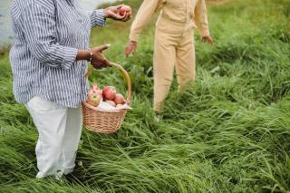 Wwoofing devenir ferme accueil