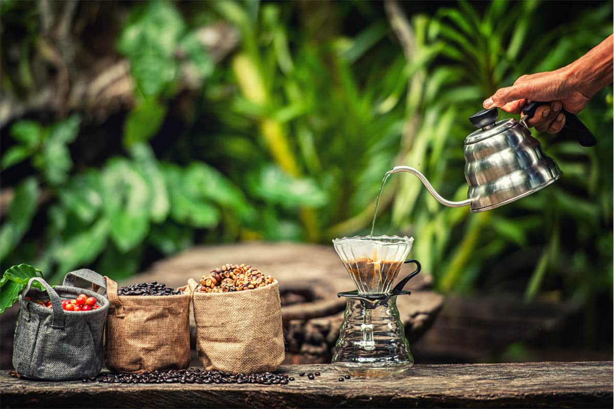 café robusta et arabica, quelles différences ?