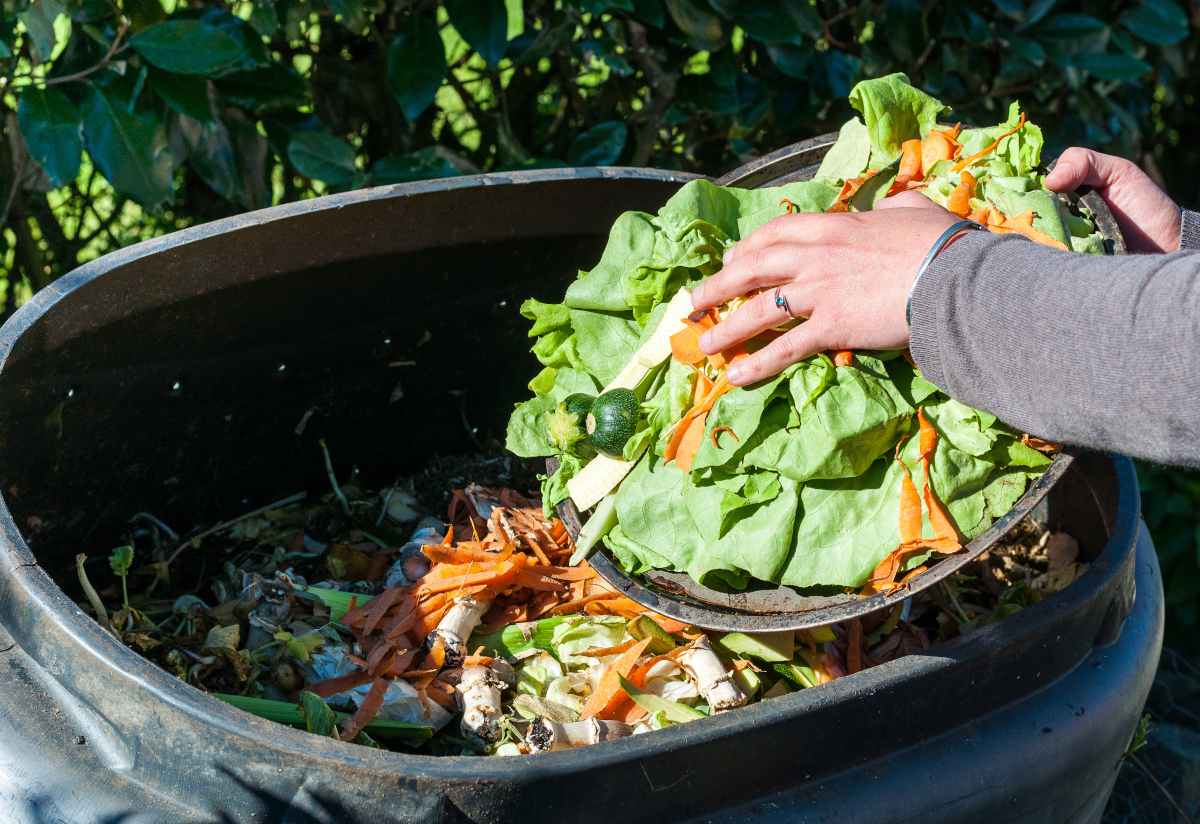 compostage obligatoire