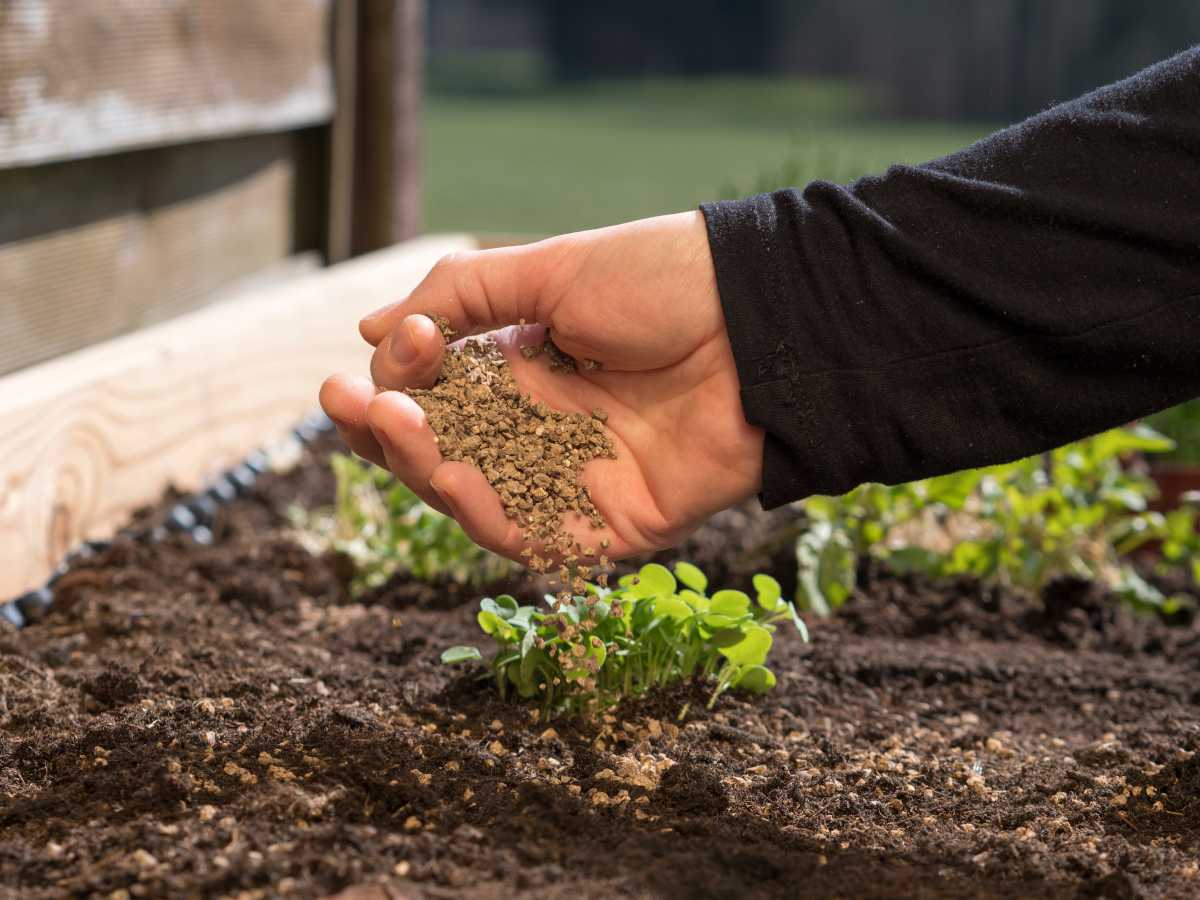 Engrais et fertilisants pour jardin