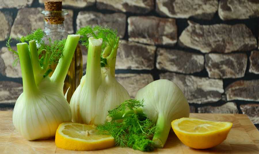 Recettes avec du fenouil