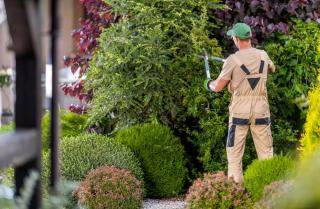 entretien jardin collectif commun partagé