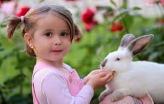 Enfant et lapin