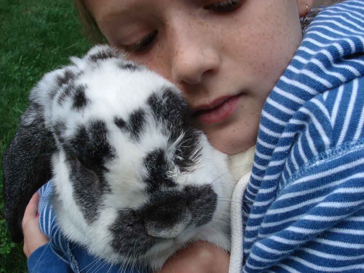 L'enfant et le lapin nain