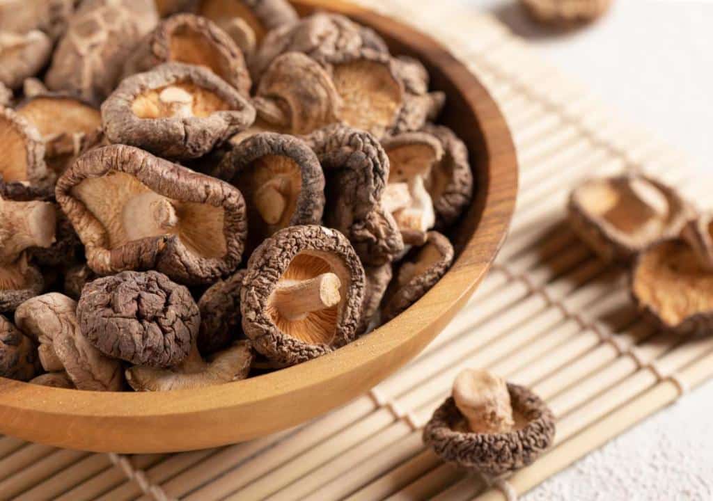 Shiitake