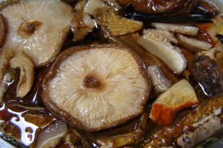 shiitake conseils d'utilisation