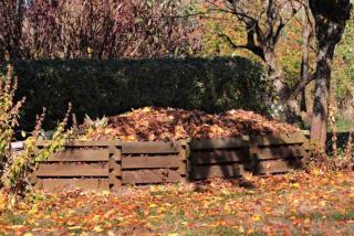 Faire son terreau de feuilles