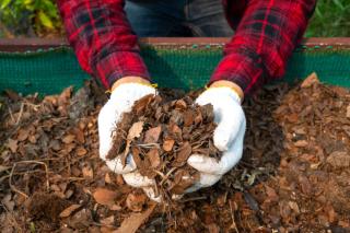 Terreau de feuilles fabrication - comment faire