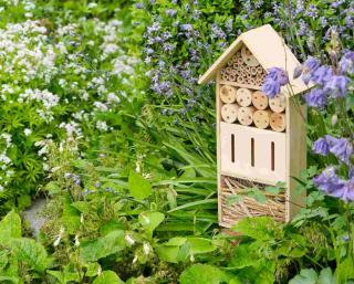 comment attirer insecte utile jardin