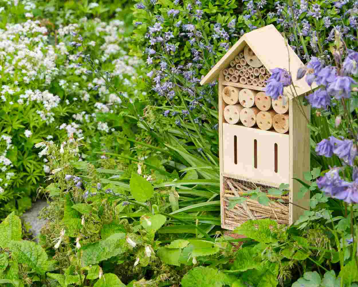 comment attirer insecte animaux utile jardin