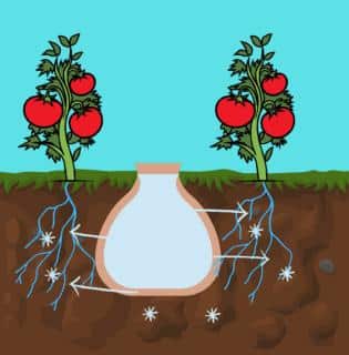 L'arrosage avec les oyas : une méthode efficace et écologique