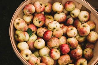 Meilleures pommes à cidre