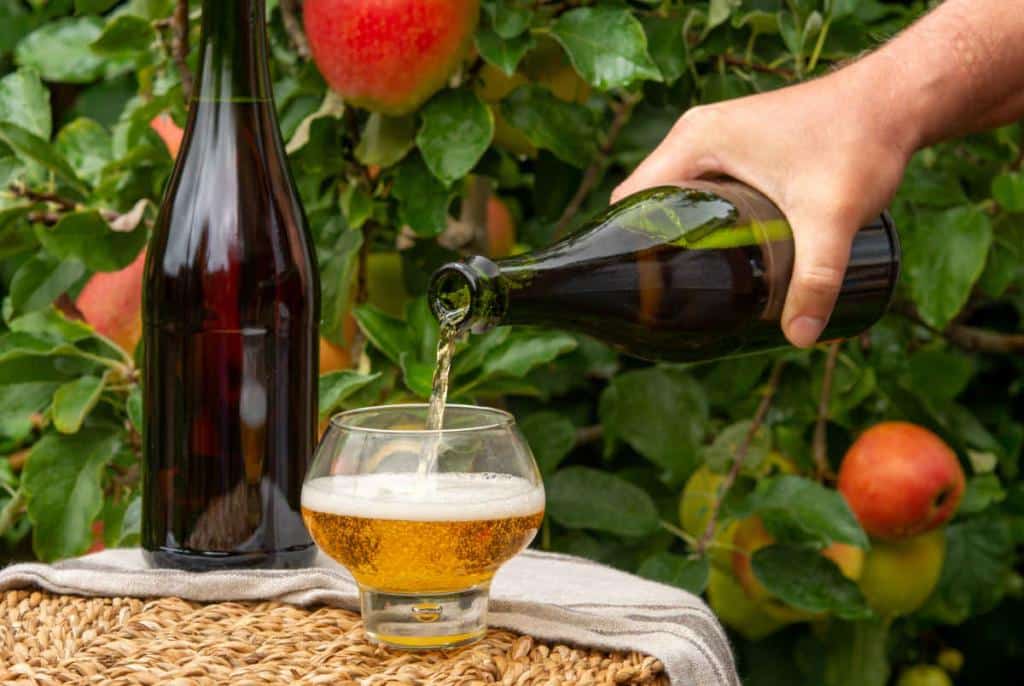 variete pomme a cidre