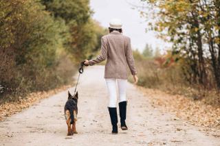 promenade du chien, quelle importance ?